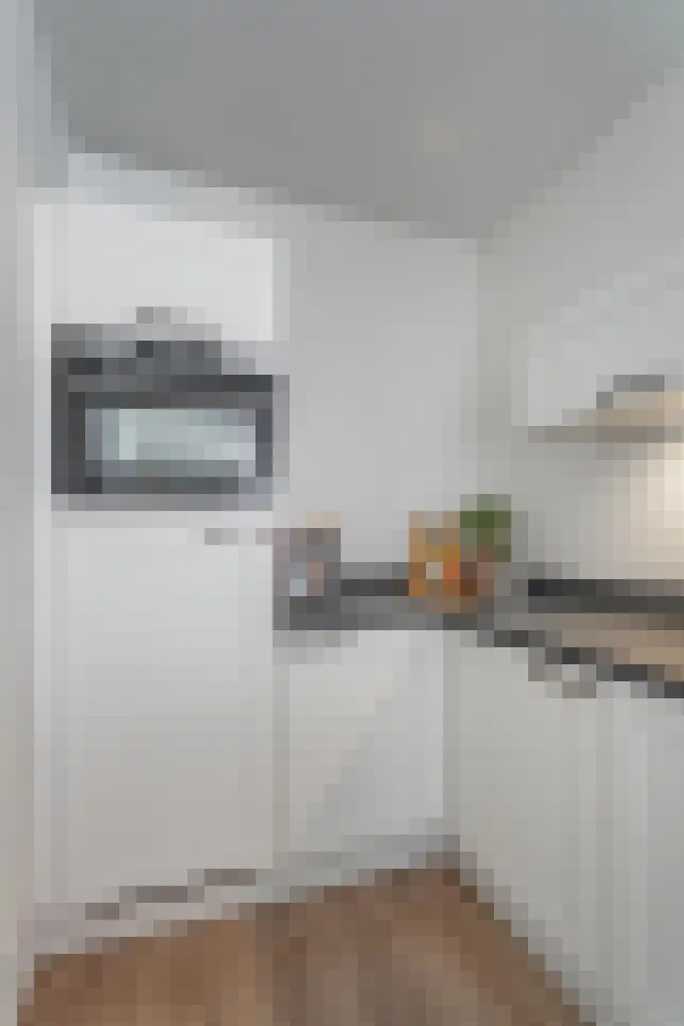 Vurehout 435 Zaandam thumbnail 4