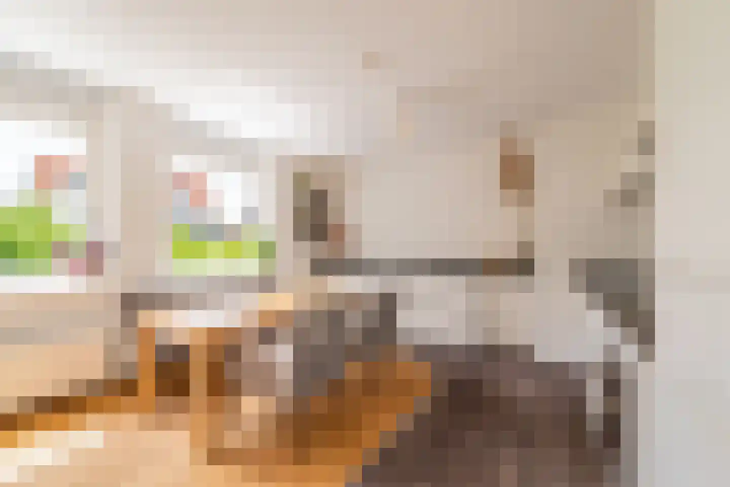 Vurehout 44 Zaandam thumbnail 15