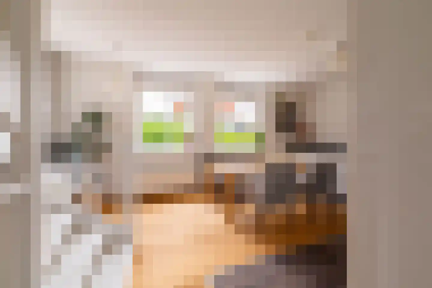 Vurehout 44 Zaandam thumbnail 16