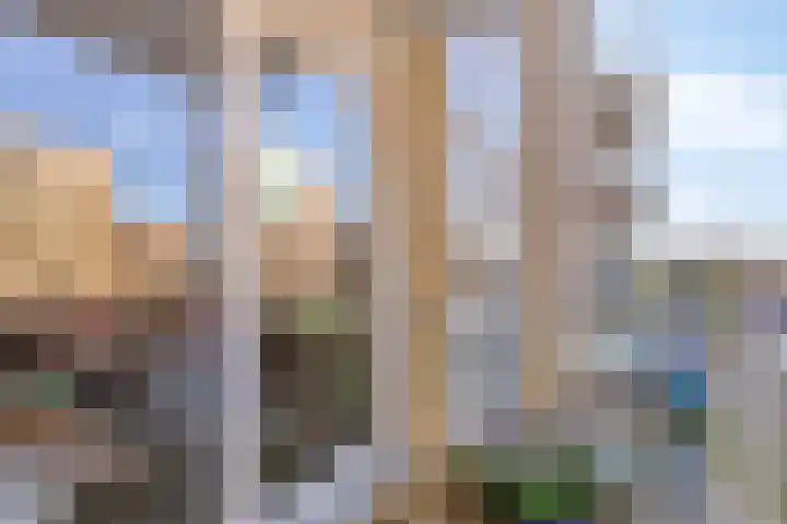 Vurehout 469 Zaandam thumbnail 20