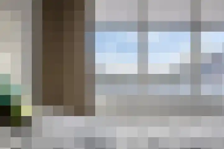 Vurehout 469 Zaandam thumbnail 22