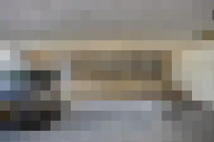 Vurehout 469 Zaandam thumbnail 30
