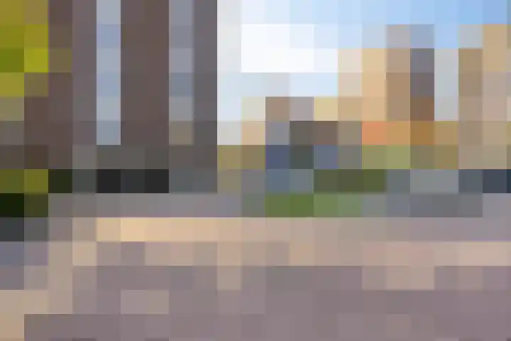 Vurehout 469 Zaandam thumbnail 33