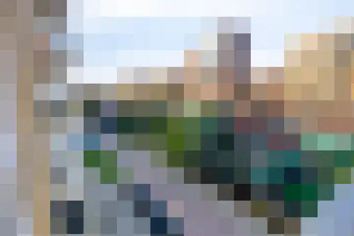Vurehout 469 Zaandam thumbnail 34
