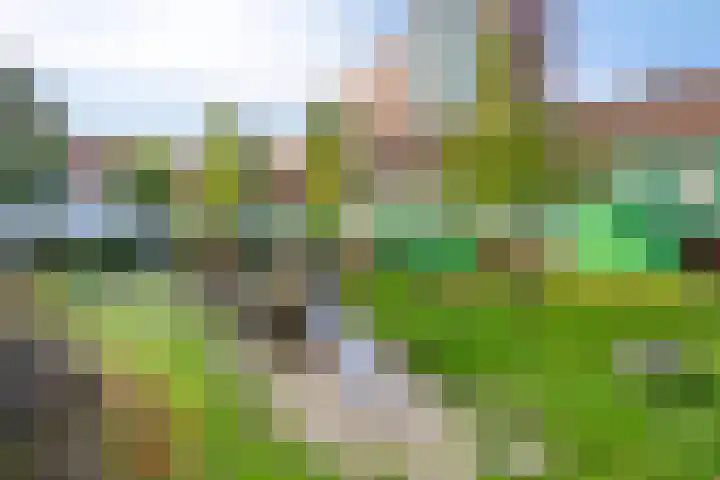 Vurehout 469 Zaandam thumbnail 38