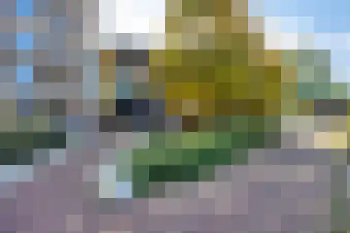 Vurehout 469 Zaandam thumbnail 39