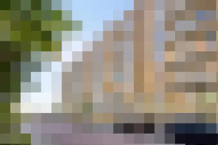 Vurehout 469 Zaandam thumbnail 5