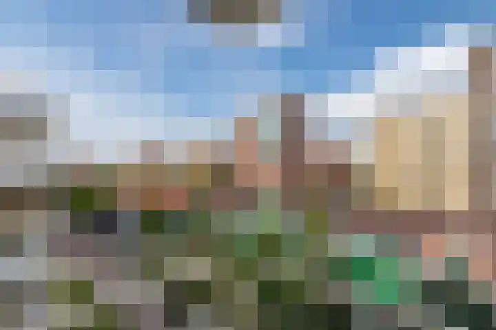 Vurehout 485 Zaandam thumbnail 30