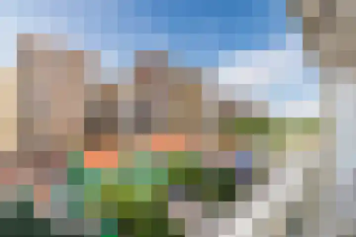 Vurehout 485 Zaandam thumbnail 31