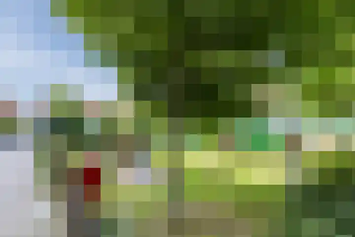 Vurehout 485 Zaandam thumbnail 33