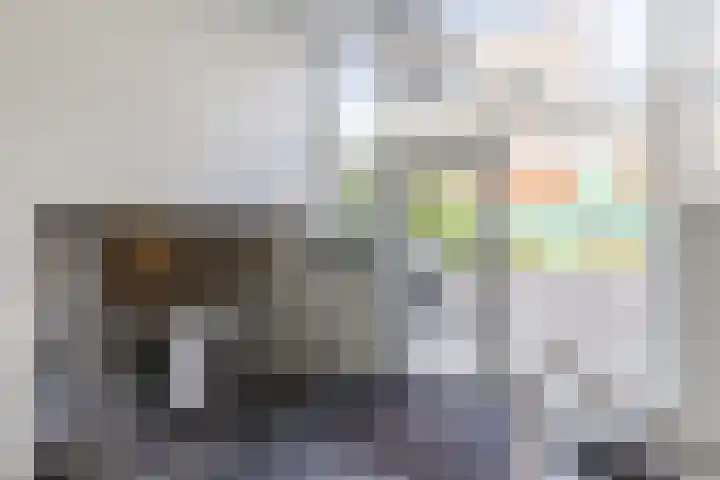 Vurehout 485 Zaandam thumbnail 7