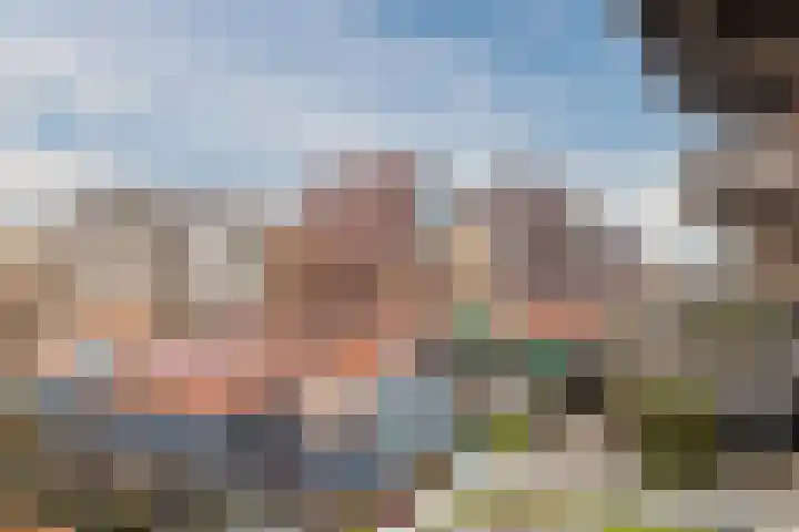 Vurehout 49 Zaandam thumbnail 27