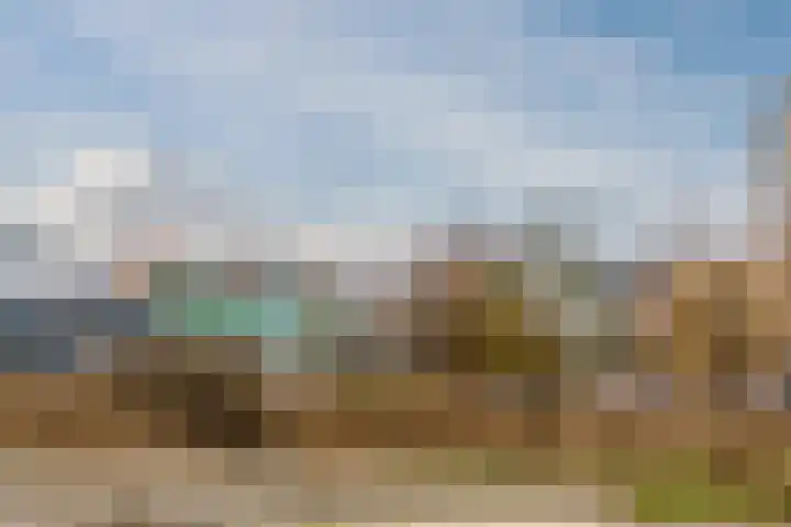 Vurehout 49 Zaandam thumbnail 28