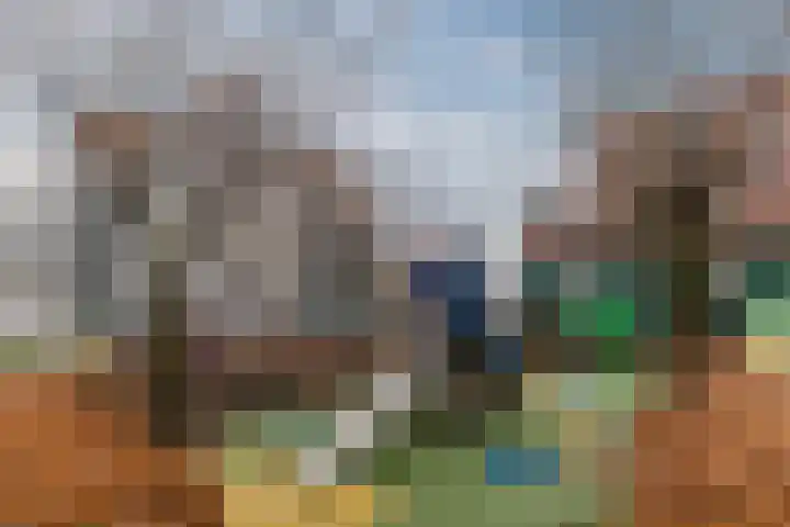 Vurehout 49 Zaandam thumbnail 31