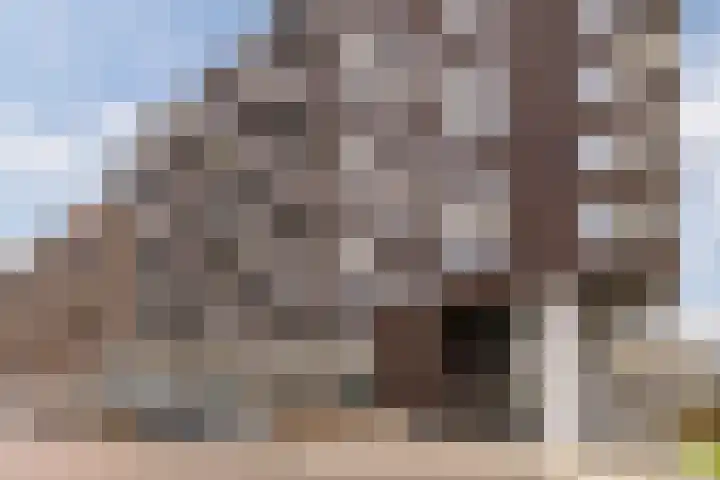 Vurehout 49 Zaandam thumbnail 6