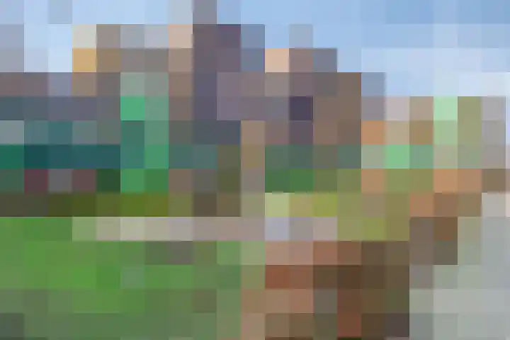 Vurehout 491 Zaandam thumbnail 32
