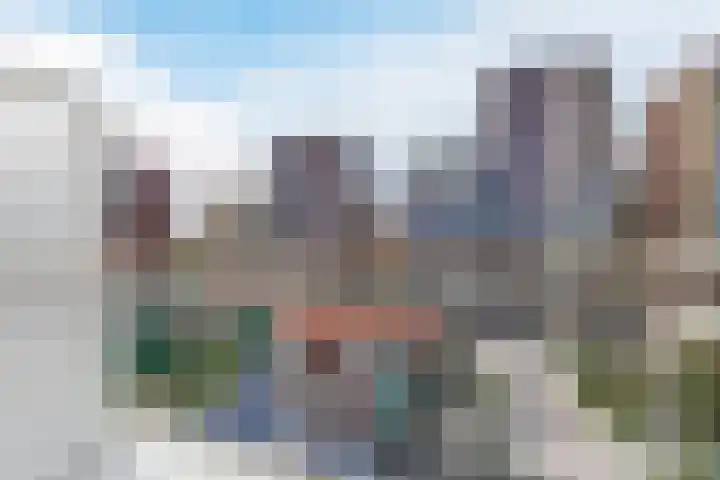Vurehout 519 Zaandam thumbnail 21