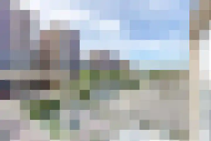 Vurehout 519 Zaandam thumbnail 22