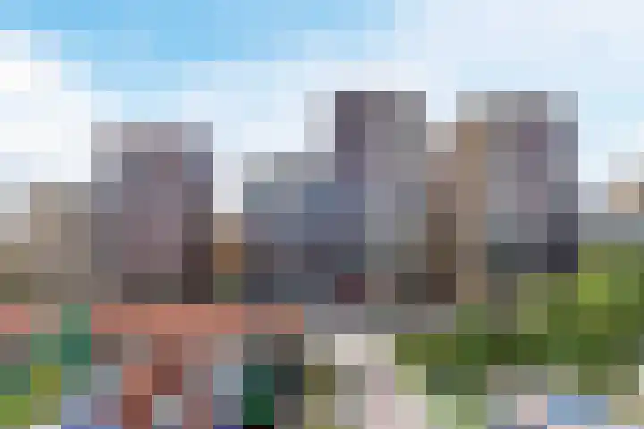 Vurehout 519 Zaandam thumbnail 23