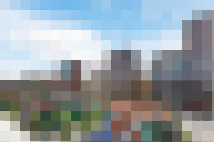 Vurehout 519 Zaandam thumbnail 24