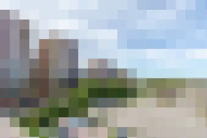 Vurehout 519 Zaandam thumbnail 25
