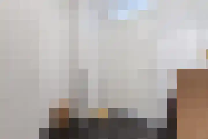 Vurehout 519 Zaandam thumbnail 27