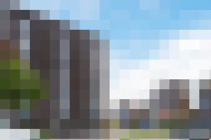 Vurehout 519 Zaandam thumbnail 44