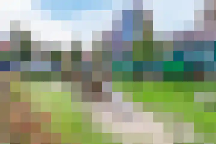 Vurehout 519 Zaandam thumbnail 48