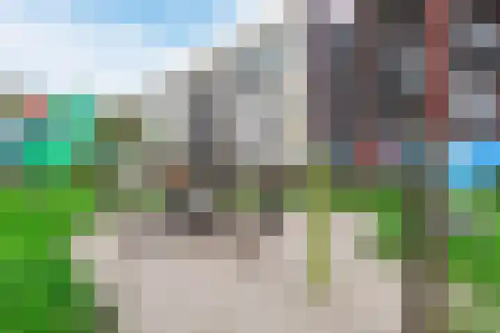 Vurehout 519 Zaandam thumbnail 49