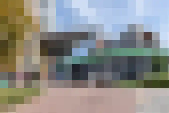 Vurehout 519 Zaandam thumbnail 50