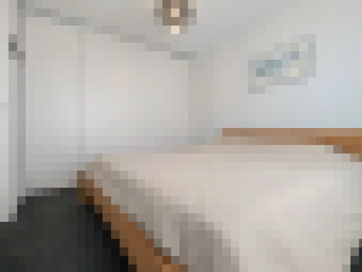 Vurehout 53 Zaandam thumbnail 15
