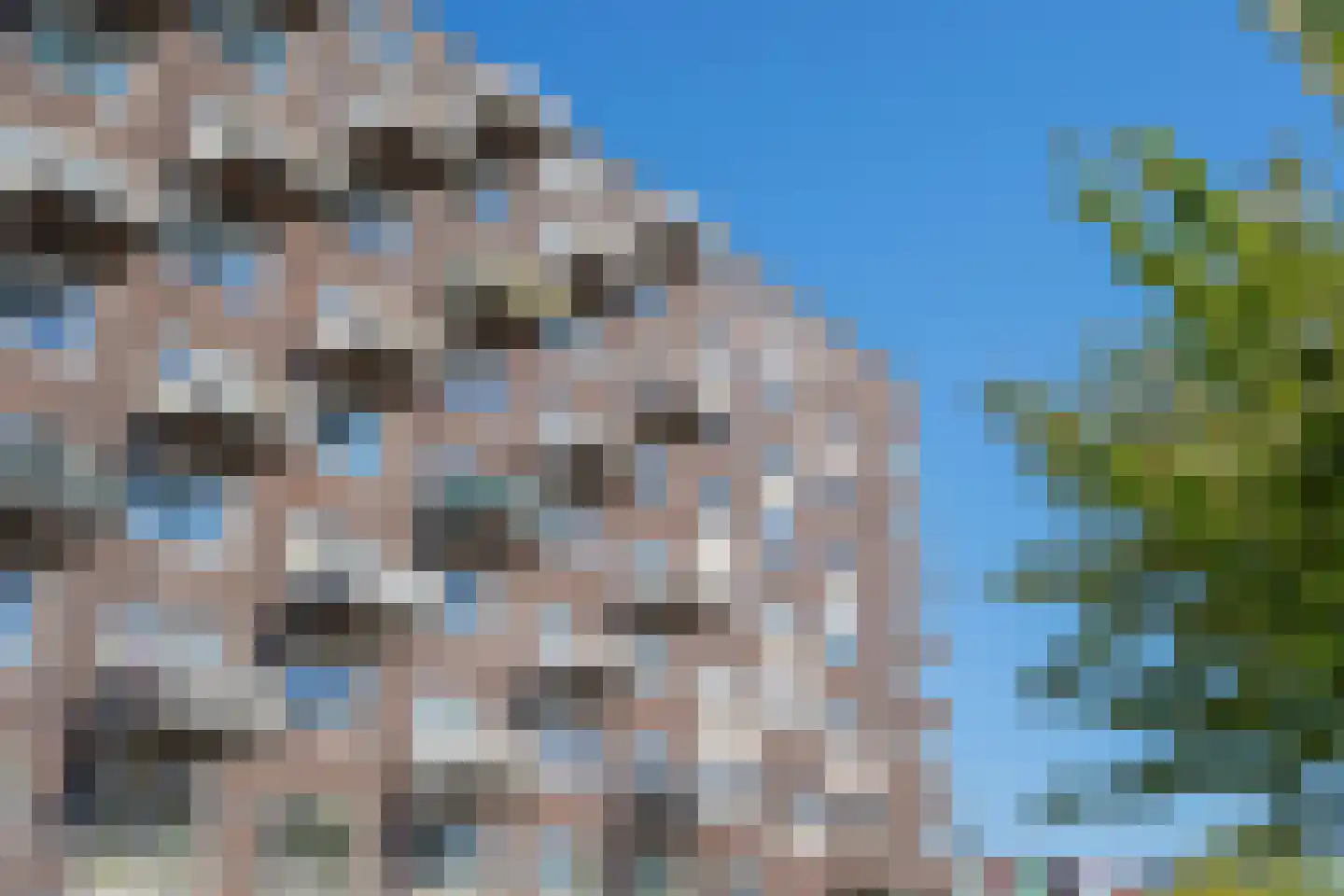 Vurehout 53 Zaandam thumbnail 30