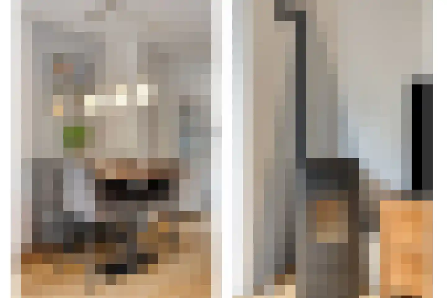 Vurehout 80 Zaandam thumbnail 4