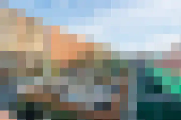Vurehout 96 Zaandam thumbnail 34