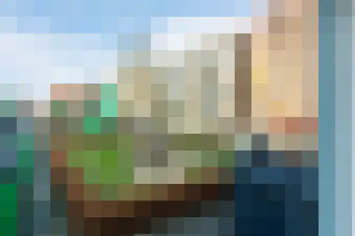 Vurehout 96 Zaandam thumbnail 35