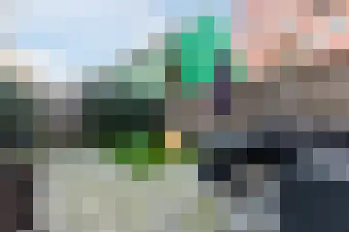 Vurehout 96 Zaandam thumbnail 36