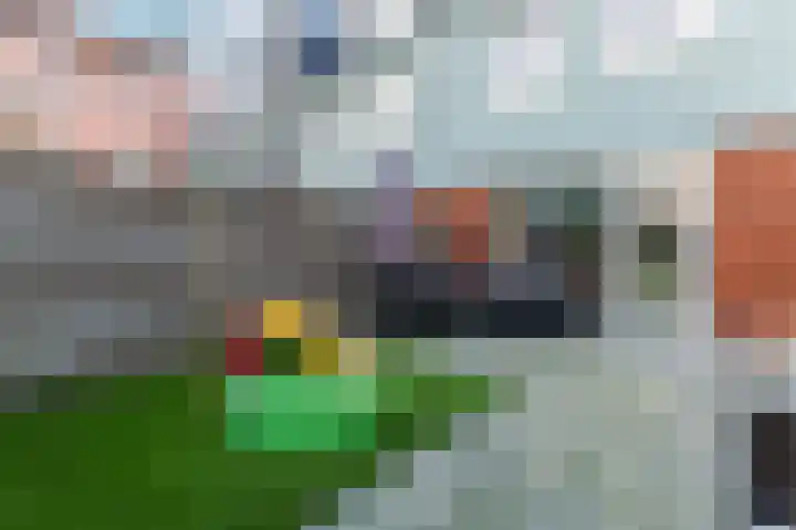 Vurehout 96 Zaandam thumbnail 37