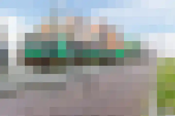 Vurehout 96 Zaandam thumbnail 39