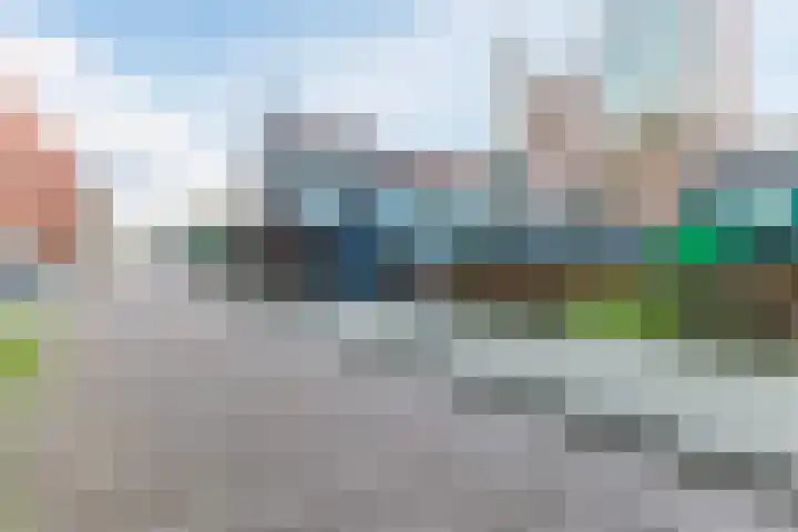 Vurehout 96 Zaandam thumbnail 40