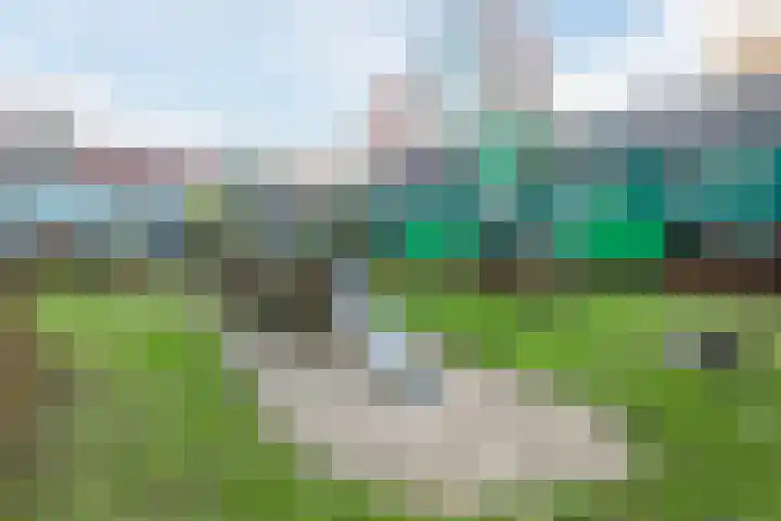 Vurehout 96 Zaandam thumbnail 41