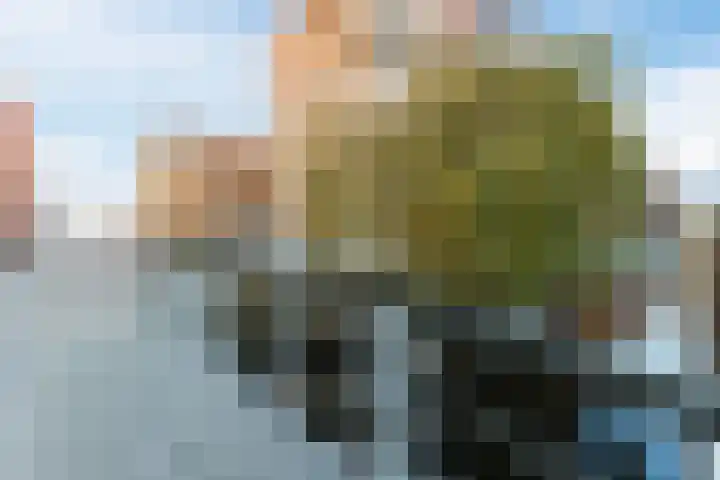 Vurehout 96 Zaandam thumbnail 42