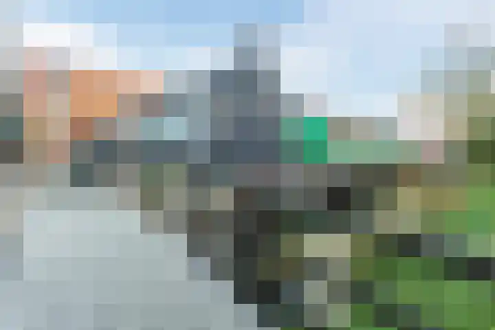 Vurehout 96 Zaandam thumbnail 43