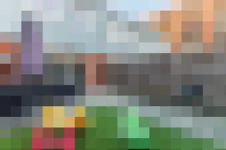 Vurehout 96 Zaandam thumbnail 5