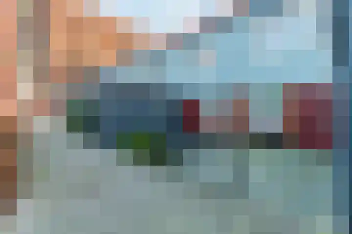 Vurehout 96 Zaandam thumbnail 6