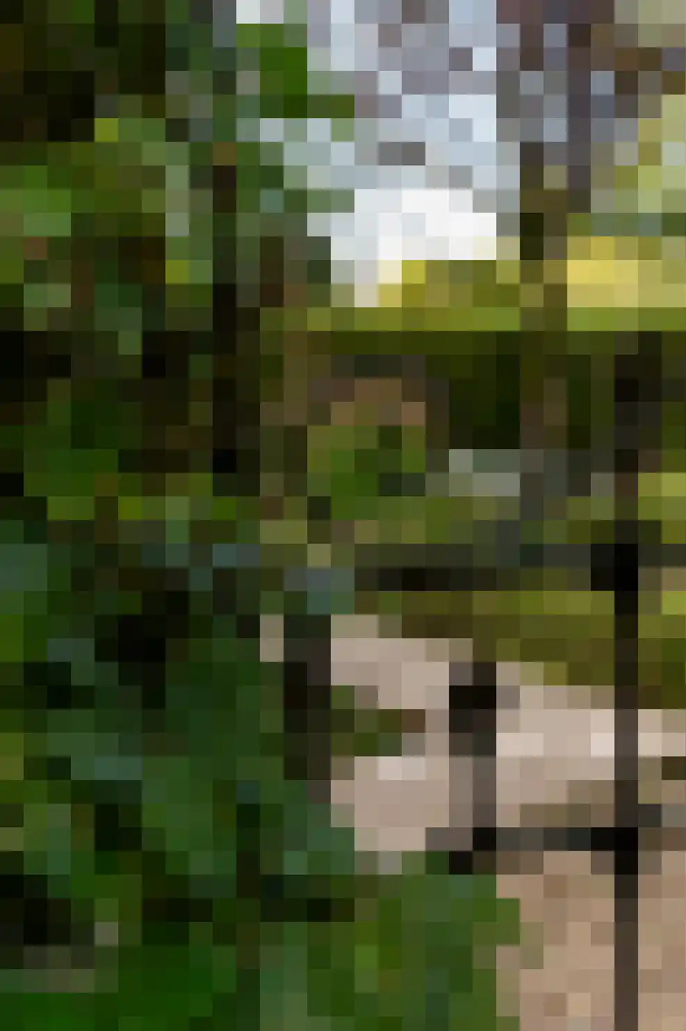 Vurenboomweg 6 A Putten thumbnail 10