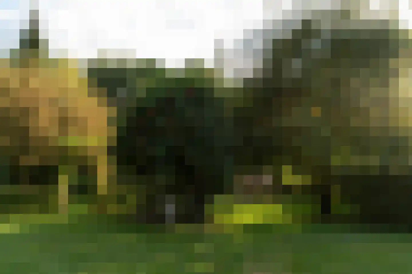 Vurenboomweg 6 A Putten thumbnail 100