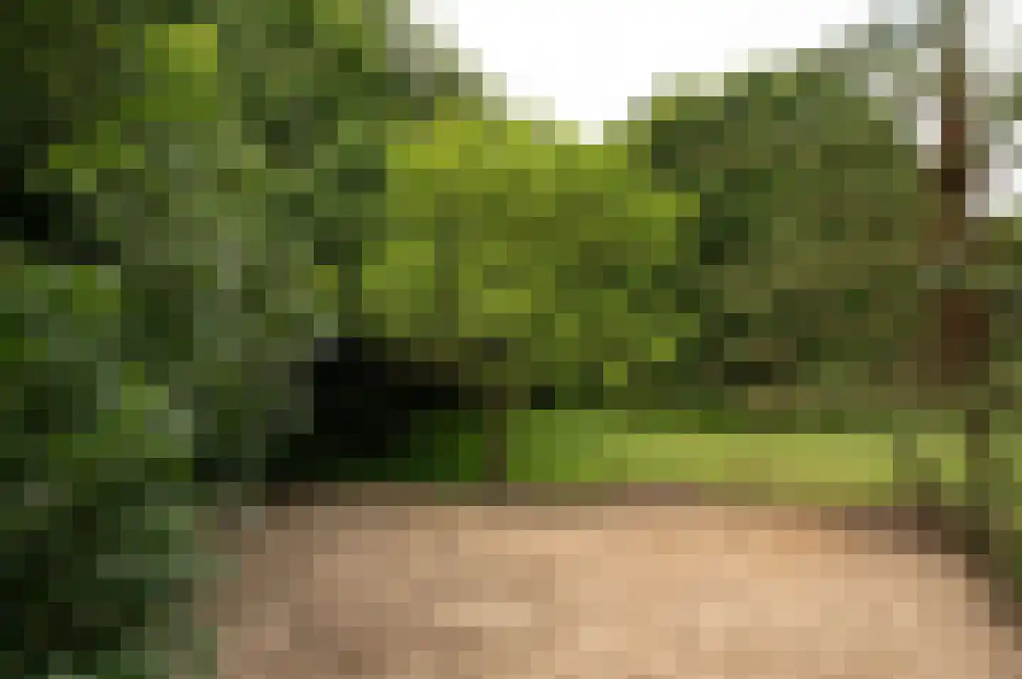Vurenboomweg 6 A Putten thumbnail 101