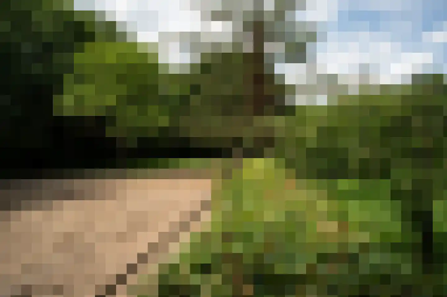 Vurenboomweg 6 A Putten thumbnail 104