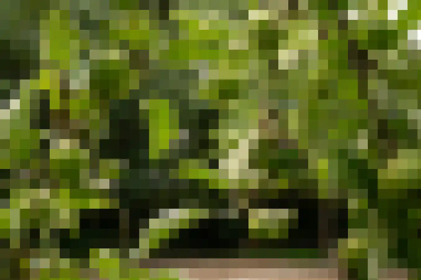 Vurenboomweg 6 A Putten thumbnail 105