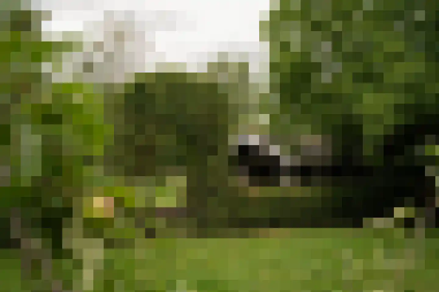 Vurenboomweg 6 A Putten thumbnail 106